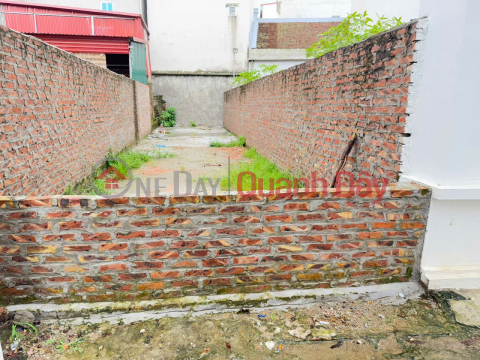 Urgent sale of Noi Dong lot, Quang Minh commune, Hanoi. Central location, _0