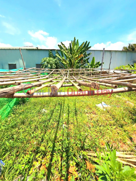 Property Search Vietnam | OneDay | Nhà ở | Niêm yết bán BÁN ĐẤT THỔ CƯ NGAY TRUNG TÂM QUẬN 9 - GIÁ CHỈ 3.1 TỶ - 64M2 - MẶT TIỀN NGUYỄN XIỂN - SỔ HỒNG RIÊNG.