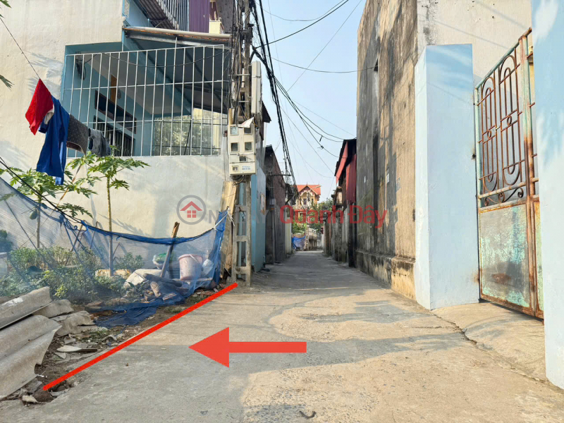 Urgent sale of land lot 6, Quang Minh town, Me Linh. Good location, potential for price increase Sales Listings