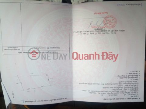 HOT DEAL! PRIME LAND FOR SALE - OWNER NEEDS TO SELL LAND in Tam Phuoc Commune, Long Dien District, Ba Ria - Vung Tau Province _0