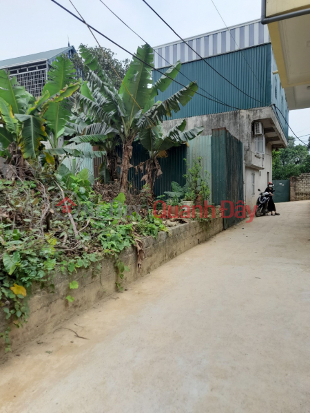 102.9m Tien Phuong - Chuong My FULL land divided into 2 lots Owner bought it a long time ago and needs to sell quickly at reasonable price, Vietnam, Sales, đ 1.89 Billion