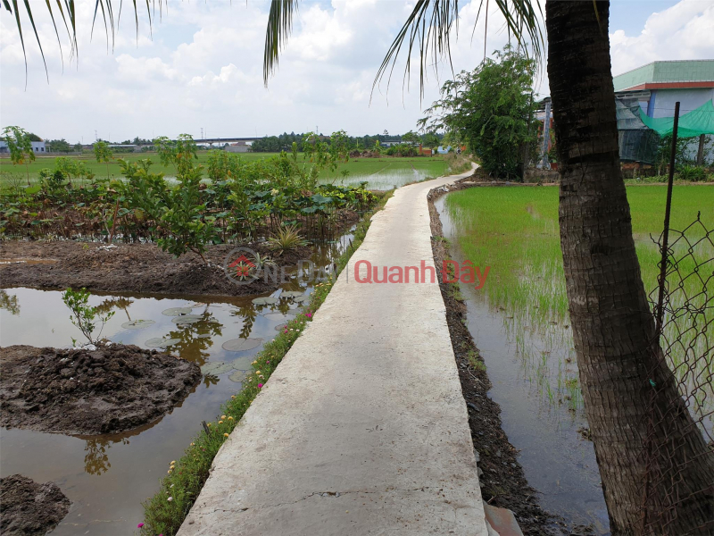 GOOD PRICE - ORIGINAL SELLING QUICKLY 2 Adjacent Plots In Thanh Duc Commune, Ben Luc District - Long An, Vietnam Sales | đ 2.3 Billion