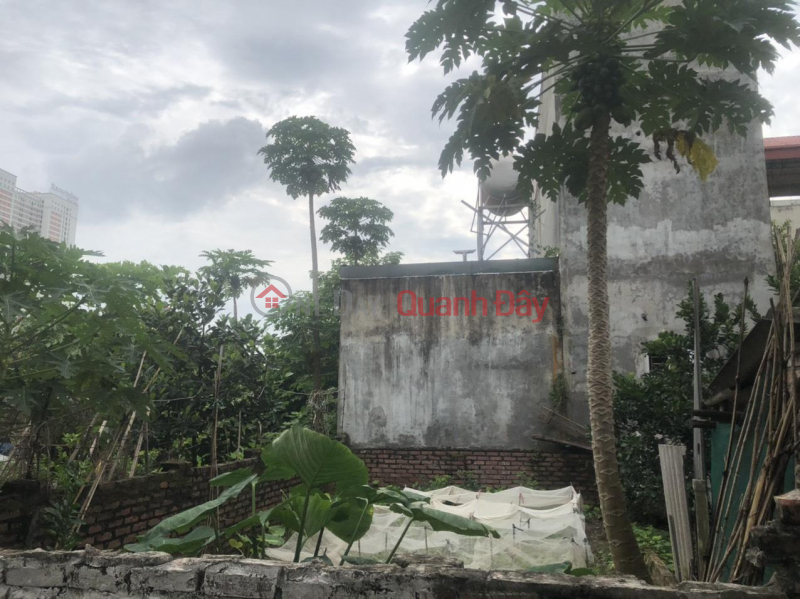 The owner needs to sell urgently 53.6m Dong Tru village, Dong Hoi commune, Dong Anh 7c highway, public price 53.6 million\\/m2 investment Sales Listings