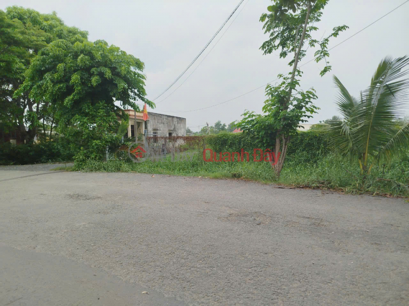 đ 17 Billion, Land for sale, frontage Dinh Van Uoc 33x63 Hung Long commune Binh Chanh price 17 billion