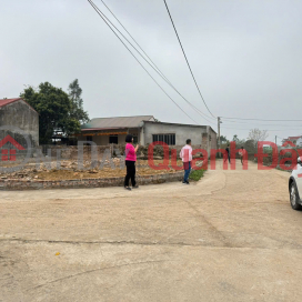 Bán 100m đất thôn Thái Lai, Minh Trí, Sóc Sơn. Full thổ cư, ô tô đỗ _0