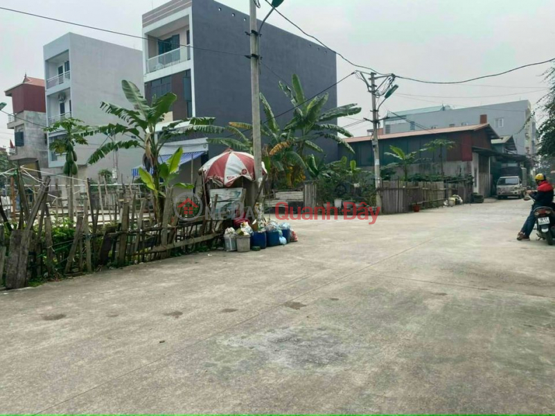 Land for sale at auction X4 Ha Phong Lien Ha Dong Anh DONGANHLAND Sales Listings
