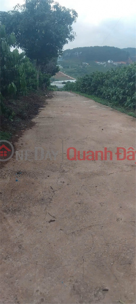 Property Search Vietnam | OneDay | Residential | Sales Listings, BEAUTIFUL LAND - GOOD PRICE - OWNER NEEDS TO SELL 3 LOTS OF LAND At Dinh Van - Lam Ha - Lam Dong