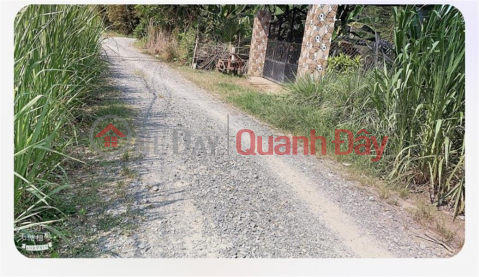 Immediately Own a Front Lot of Land in a Beautiful Location in Suoi Da Commune, Duong Minh Chau District - Tay Ninh _0