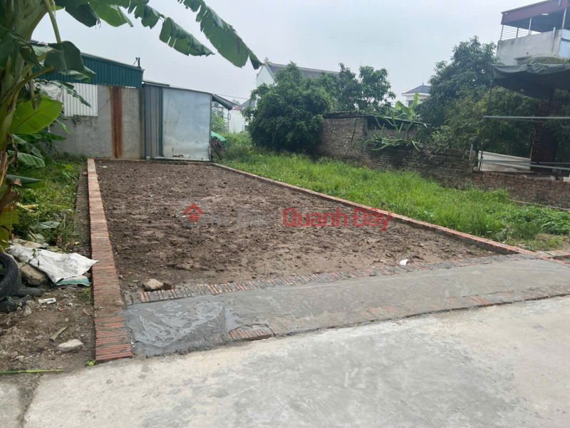 Property Search Vietnam | OneDay | Nhà ở | Niêm yết bán | Bán đất thôn Ấp Tre (Tổ 9) Quang Minh, TP Hà Nội. Đường thông bàn cờ, full thổ cư, oto đỗ