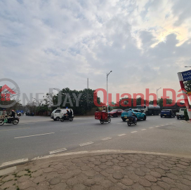 123m2 đất đấu giá 31ha, Trâu Quỳ, Gia Lâm, HN. Đường 13m view vườn hoa. Lh 0989894845 _0