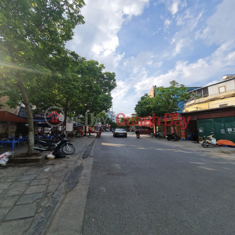 Land for sale on rough business street 299.9m2 Trau Quy, Gia Lam, Hanoi. _0