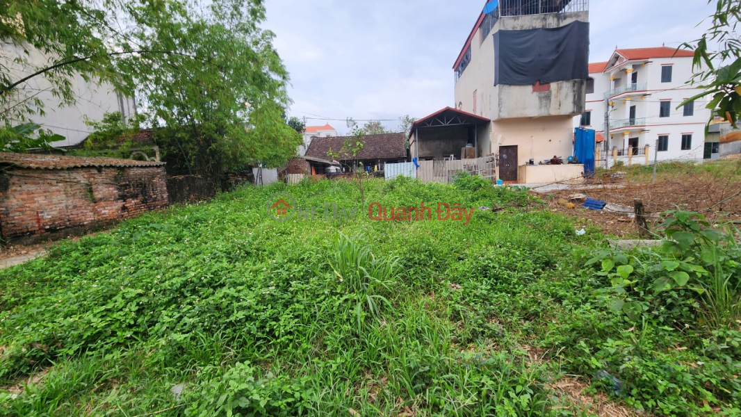 Property Search Vietnam | OneDay | Nhà ở Niêm yết bán | Chính chủ bán đất: Siêu Quần,Tả Thanh Oai, giáp Đấu giá trước nhà ô tô tải. 2 lô sát nhau.