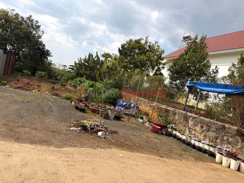 Property Search Vietnam | OneDay | Nhà ở Niêm yết bán Bán 369,3m2 Đất - Đức Trọng - Lâm Đồng gần trung tâm giá 4 tỷ 3