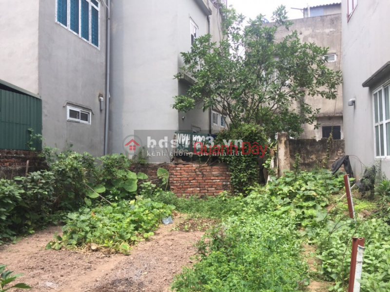 Property Search Vietnam | OneDay | Residential | Sales Listings, Land for sale 58m2 Tuu Liet, Thanh Tri, red book, quick transfer of ownership.