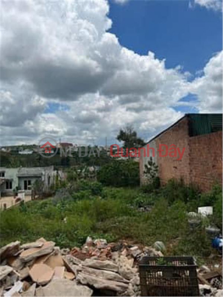 BEAUTIFUL LAND - GOOD PRICE - For Quick Sale Land Lot Prime Location In Di Linh, Lam Dong Sales Listings