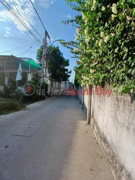 LOT OF LAND FOR SALE IN PHU PINEAPPLE CANDLE IN VINH NGOC COMMUNE Sales Listings