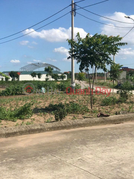  Làm ơn chọn | Nhà ở | Niêm yết bán | đ 3,6 tỷ