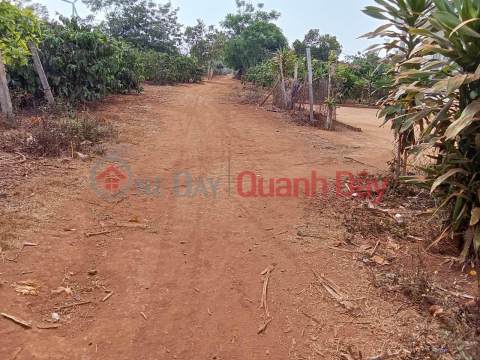 FOR SALE Plot In ia Pet Commune-Dak Doa-Gia Lai- Extremely Cheap Price _0