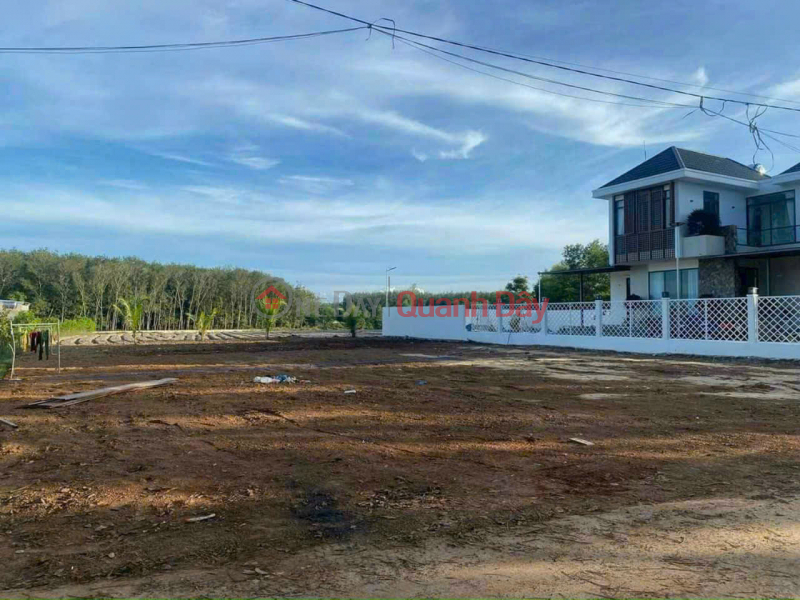 Need to Sell 3 Residential Land Plots - Good Price - Beautiful Location near Long Tan Industrial Park, Long Ha 200m2, Vietnam Sales đ 320 Million