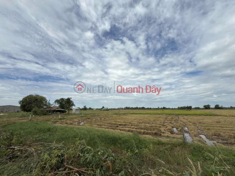 ĐẤT ĐẸP - GIÁ TỐT - Bán Nhanh Tại ấp Phước Đông xã Long Chữ tỉnh Tây Ninh (trước là xã Long Phước huyện Bến Niêm yết bán