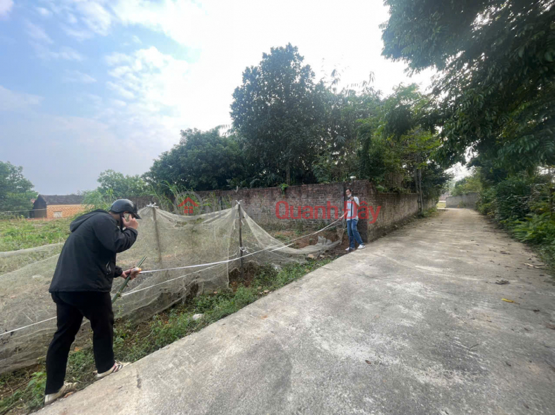 Chính chủ bán đất vàng tại TDP Lễ Khê, phường Tùng Thiện - Vị trí đẹp, hạ tầng hoàn thiện - Giá hấp dẫn, Việt Nam, Bán, đ 1,8 tỷ