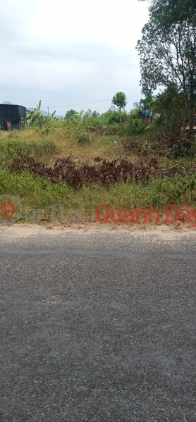 BEAUTIFUL LAND - GOOD PRICE Prime Location In Dien Binh Commune, Dien Khanh, Khanh Hoa, Vietnam | Sales, đ 750 Million