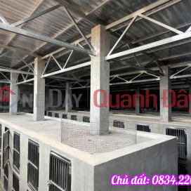 SELLING AT A LOSS OF OVER 1 BILLION VND – WAREHOUSE 1,073M² NEAR RING ROAD 4 – CU CHI – PRICE 5.6 BILLION VND (NEGOTIABLE) _0