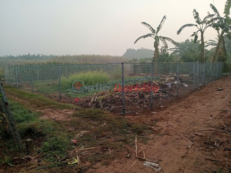 Property Search Vietnam | OneDay | Nhà ở | Niêm yết bán | Cần Bán Nhanh Lô Đất Vị Trí Đắc Địa Tại Đồng Lư, Đồng Quang, Quốc Oai, TP Hà Nội