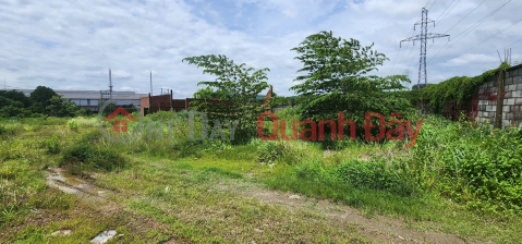 Selling land suitable to build a factory or factory or warehouse in Thien Tan Vinh Cuu Industrial Park _0