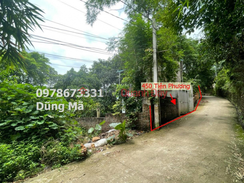 OWNER SELLS 450M2 LAND LOT AT TIEN PHUONG ARTIST HILL - CHUONG MY Sales Listings