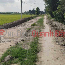 bán đất lúa (NGOCHON-823082492)_0