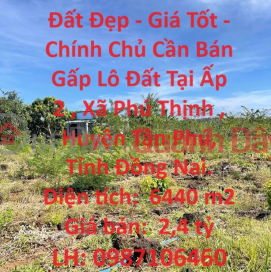 Beautiful Land - Good Price - Owner Urgently Needs to Sell Land Lot in Phu Thinh, Tan Phu, Dong Nai. _0