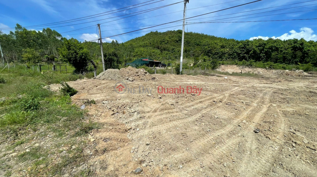 Property Search Vietnam | OneDay | Nhà ở Niêm yết bán, Bán đất mặt tiền Quốc Lộ 28B gần 4.000m2, ngang 41m - Giá chỉ 1,5 triệu-m2 - Quy hoạch TMDV