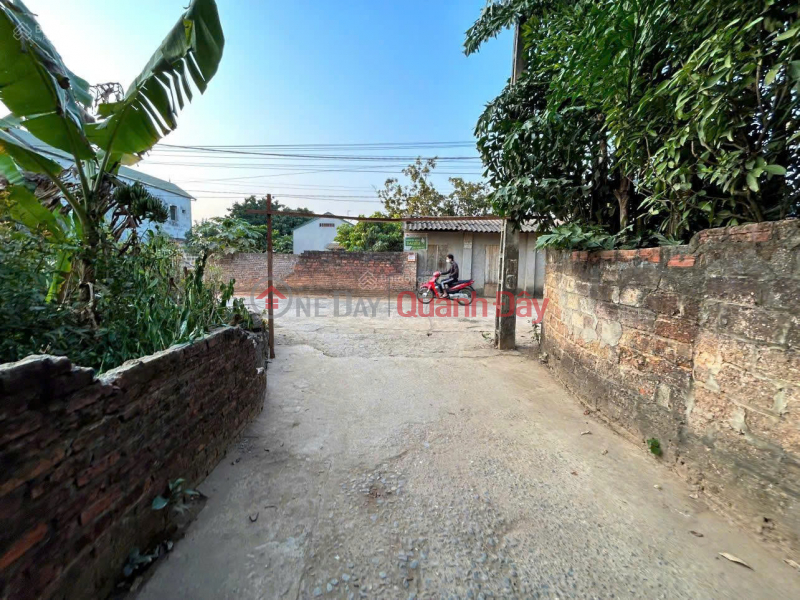 Property Search Vietnam | OneDay | Nhà ở, Niêm yết bán | CẦN TIỀN BÁN GẤP ĐẤT NGHỈ DƯỠNG ĐẸP QUỐC OAI - SỔ ĐỎ CHÍNH CHỦ