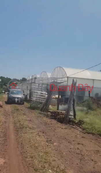 House and garden for sale, 1000m2, Duc Trong – Lam Dong - price 3.25 billion VND., Vietnam | Sales | đ 3.25 Billion