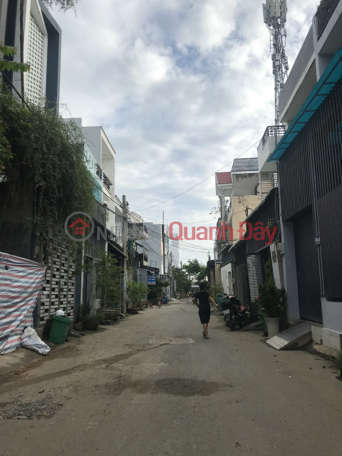 Bán Nhà Trường Lưu, Khu phân lô, hẻm tải, 55m2 giá 3.55 tỷ _0