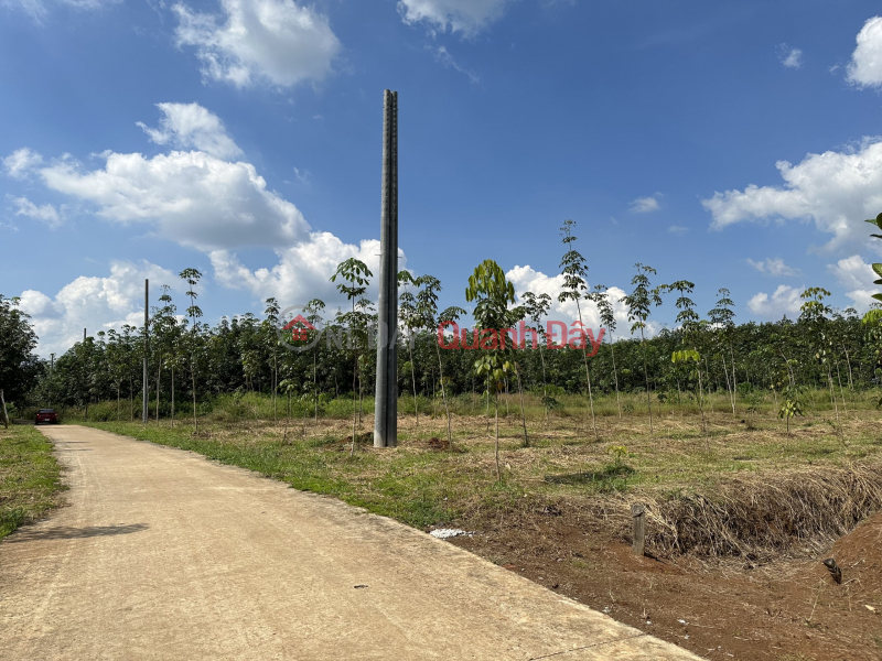 Property Search Vietnam | OneDay | | Niêm yết bán 200m2 Đất Bình Phước ngay trục đường DT756