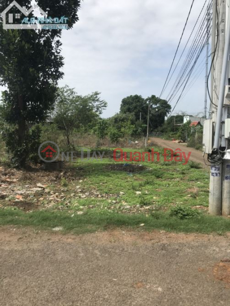 Property Search Vietnam | OneDay | Residential, Sales Listings, OWNER NEEDS TO SELL A PIECE OF LAND WITH 2 FACES. Dieu Xien, Bau Tram Ward - Area: 100m2 - Price 1.8 billion