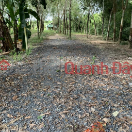Land for sale in An Tho hamlet, An Co commune, Chau Thanh, Tay Ninh. _0