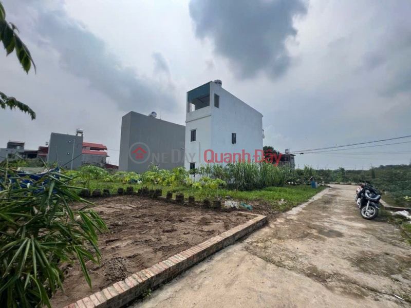 Property Search Vietnam | OneDay | Nhà ở, Niêm yết bán Chỉ 3,15 TỶ - sở hữu lô đất 52M2 thôn Ấp Tre mặt tiền 6M khủng - sát KCN Quang Minh