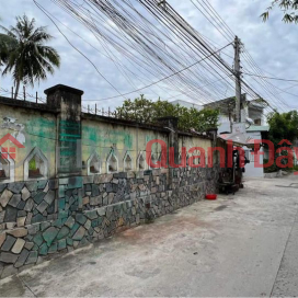 LAND 3 FACES OTO 5m HOA TRUNG VANH HOA (anh-6156512355)_0