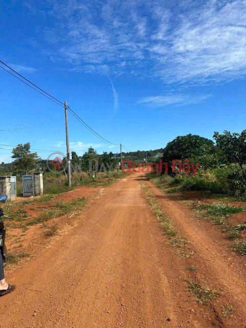 Owner selling quickly a 10,000 m2 plot of land in Gia Nghia, Dak Nong - Suitable for planting coffee trees and other crops. _0