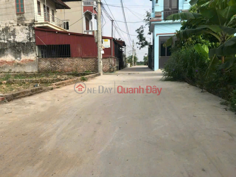 Property Search Vietnam | OneDay | Residential, Sales Listings Service land for sale in group 5, Quang Minh town, Me Linh. House C4 given away, currently rented for business