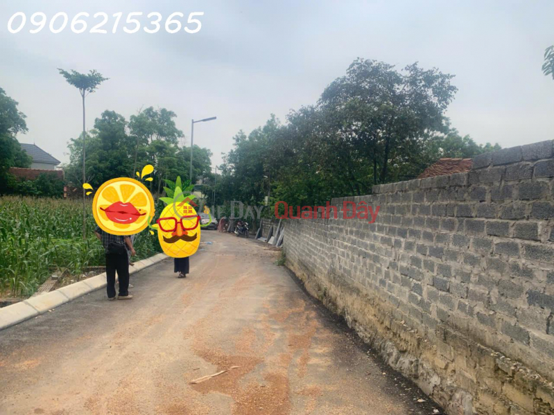 Property Search Vietnam | OneDay | Nhà ở, Niêm yết bán | Em cần bán lô đất 90m2 tại Nam Phương Tiến, Chương Mỹ, nhỉnh 1 tỷ