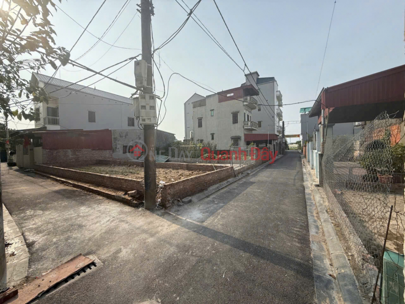 Miss Dong Village - Nguyen Khe - Dong Anh (old) Phuc Thinh Sales Listings