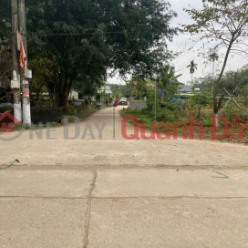 RARE LAND PLOT FOR SALE - 293M² LOCATED 500M FROM THE HO CHI MINH CITY HIGHWAY – Vai Village, Lac Thuy District, Hoa Binh Province _0