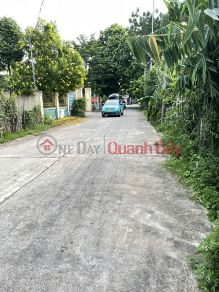 Land for sale in Thang Loi, Dan Phuong, Hanoi, 6.1 billion, 130.2m2 Vietnam Sales đ 6.1 Billion