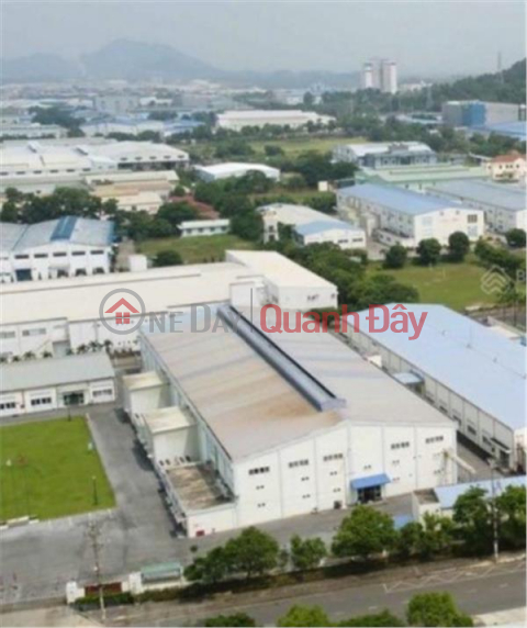Selling 2500 Industrial Park factory land, separate book, Quat Dong Thuong Tin near Thanh Tri Hanoi, price 2x billion, x small _0