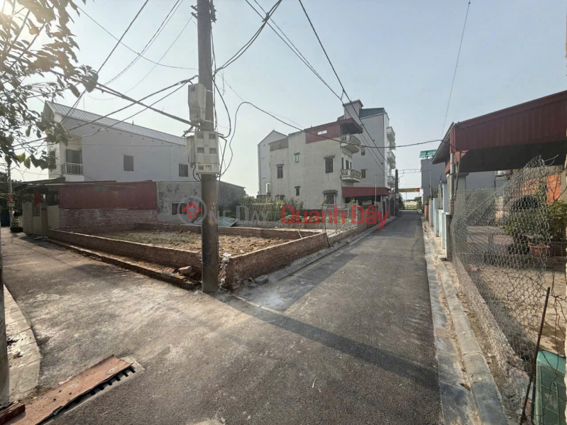 Land for sale in Dong Nguyen Khe village - 63.9m2 - Corner lot Sales Listings