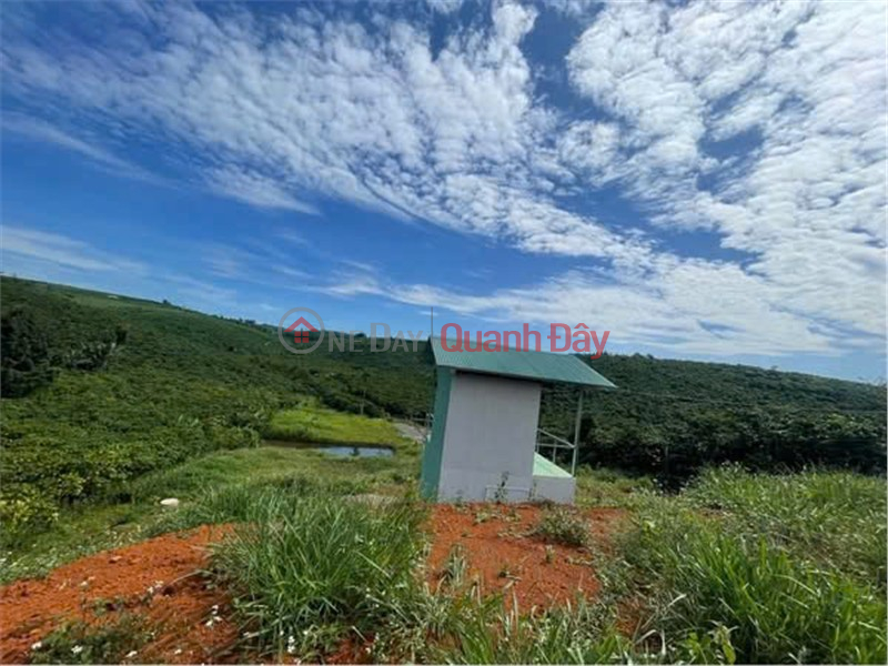 Property Search Vietnam | OneDay | Nhà ở Niêm yết bán, HOT HOT - CẦN BÁN LÔ ĐẤT VỊ TRÍ ĐẸP TẠI Xã Lộc Ngãi, Huyện Bảo Lâm, LÂM ĐỒNG